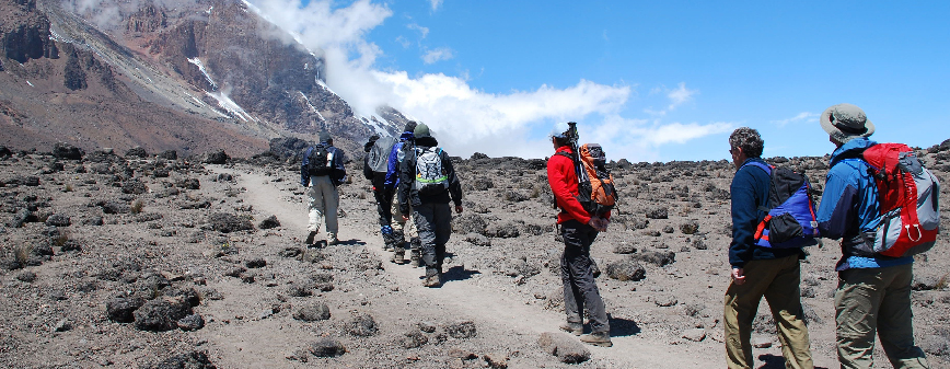 Kilimanjaro Summit Success Rate